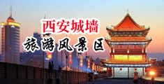 美国大鸡巴操中国逼中国陕西-西安城墙旅游风景区